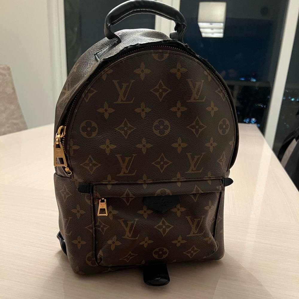 Louis Vuitton Palm Springs Mm Black Monogram Canvas Backpack